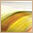cognizant manual+